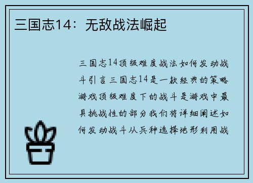 三国志14：无敌战法崛起
